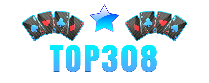 Top308