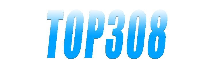 Top308